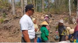 Lokasi Padat Karya Jogja Istimewa Kalurahan Tancep Resmi Di mulai untuk Dorong Ekonomi dan Infrastru